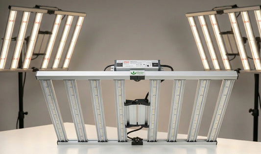 LED Quantum Barra 1000W Master Plants com design em barras, chips Samsung LM283B+ e dimmer integrado, oferecendo alta eficiência e cobertura uniforme para cultivo indoor.