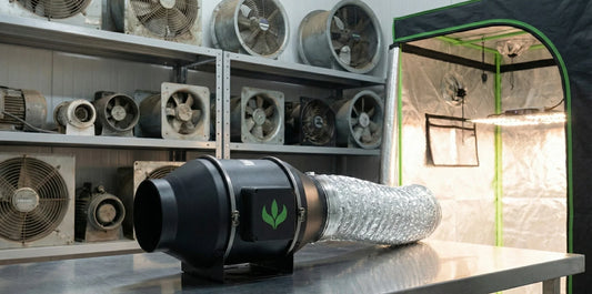 Exaustor Turbo Master Plants com duto flexível instalado para ventilação de estufa grow, garantindo renovação do ar, controle de temperatura e umidade no cultivo indoor.