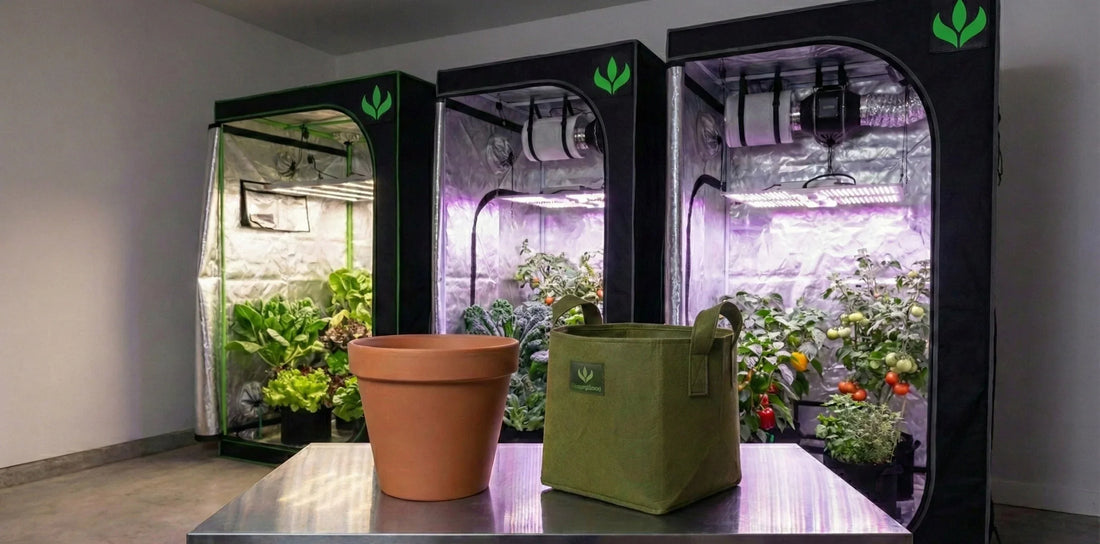 Comparação entre vaso de plástico e vaso de feltro MASTERPLANTS, posicionados em frente a estufas grow com iluminação LED e plantas em diferentes estágios.