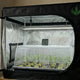 Estufa de propagação 60x40cm MASTERPLANTS com mudas em clonagem, iluminação LED e controle de umidade e temperatura para cultivo indoor.