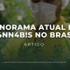 Panorama atual da cannabis no Brasil