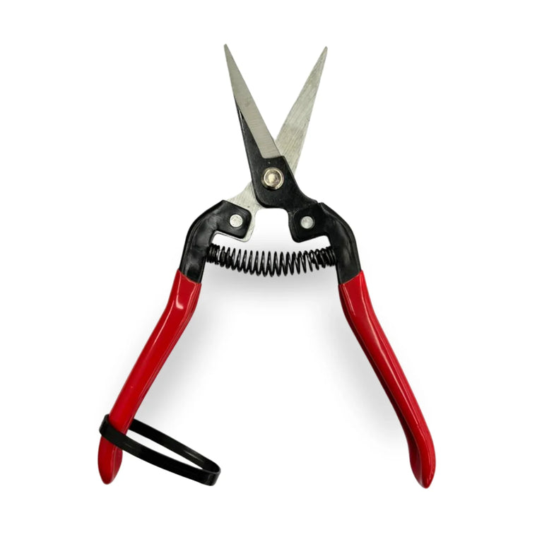 Tesoura Trimming para Poda Jardim - Cultivo Indoor Grow