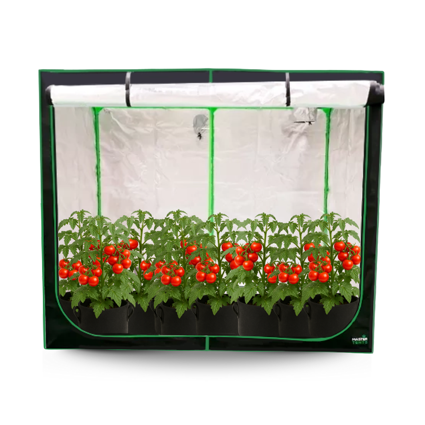 Estufa 240x120x200cm para Cultivo Indoor Master Tents U Mylar 600D PRO