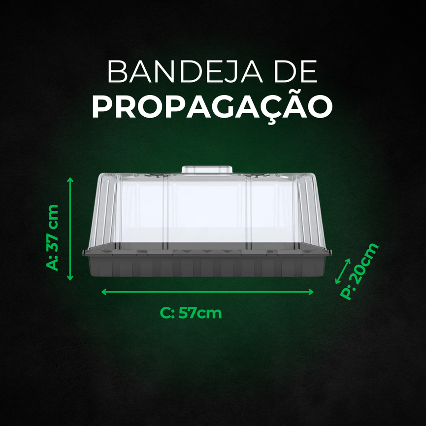 Estufa para Propagação de Clones Mudas Cultivo Indoor
