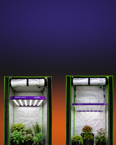 Kits Cultivo