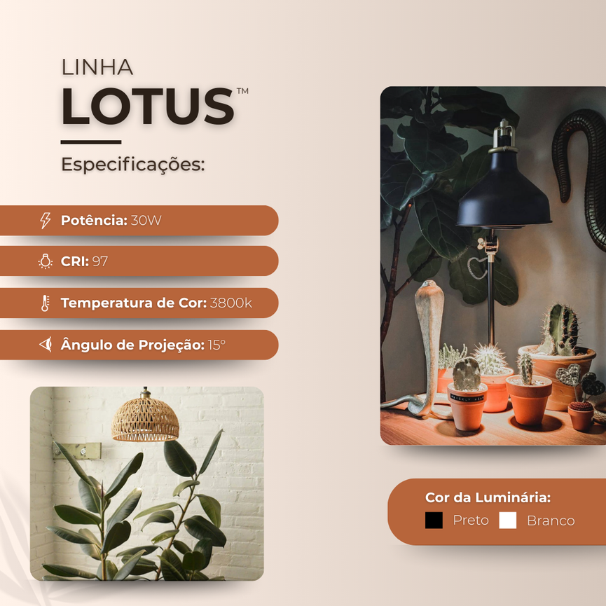 Lâmpada Led Bulbo 30w 15° E27 Black Cultivo Indoor Plantas Vasos