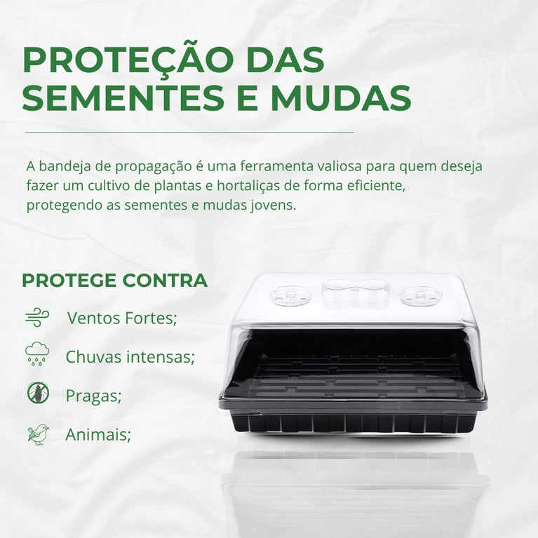 Estufa para Propagação de Clones Mudas Cultivo Indoor