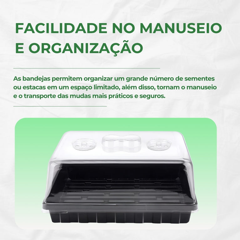 Estufa para Propagação de Clones Mudas Cultivo Indoor