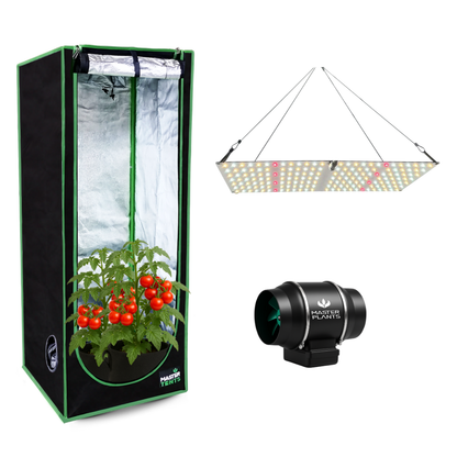 Kit Cultivo Grow Completo Tenda 60x60x160 + Quantum Board 65w LM281B + Exaustor Turbo 100MM