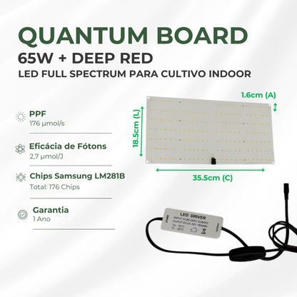 Kit Cultivo Grow Completo Tenda 60x60x160 + Quantum Board 65w LM281B + Exaustor Turbo 100MM