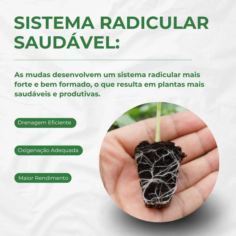 Bandeja para Germinação Clonagem 72 Células Cultivo Indoor