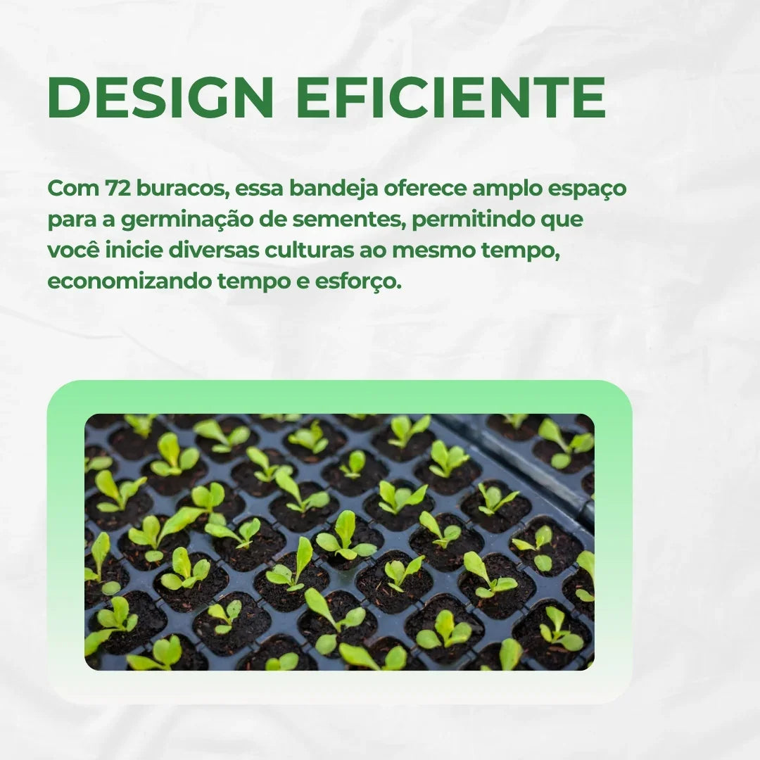 Bandeja para Germinação Clonagem 72 Células Cultivo Indoor