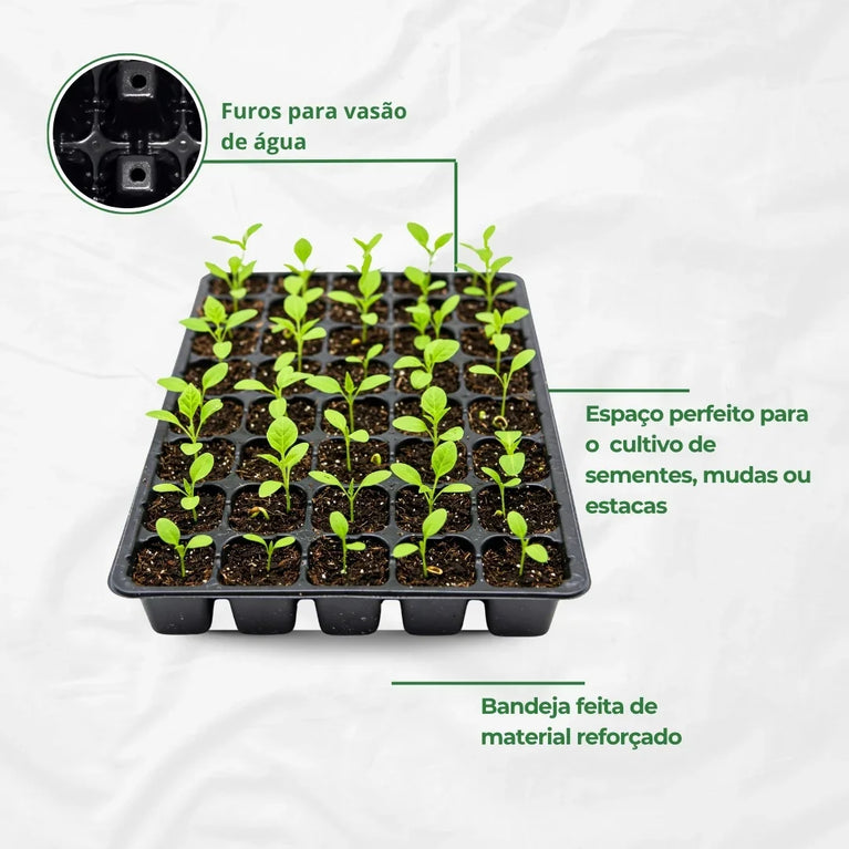 Bandeja para Germinação Clonagem 72 Células Cultivo Indoor