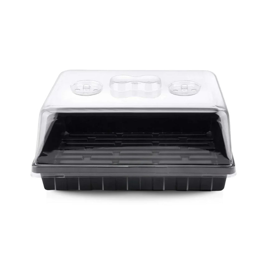 Estufa para Propagação de Clones Mudas Cultivo Indoor