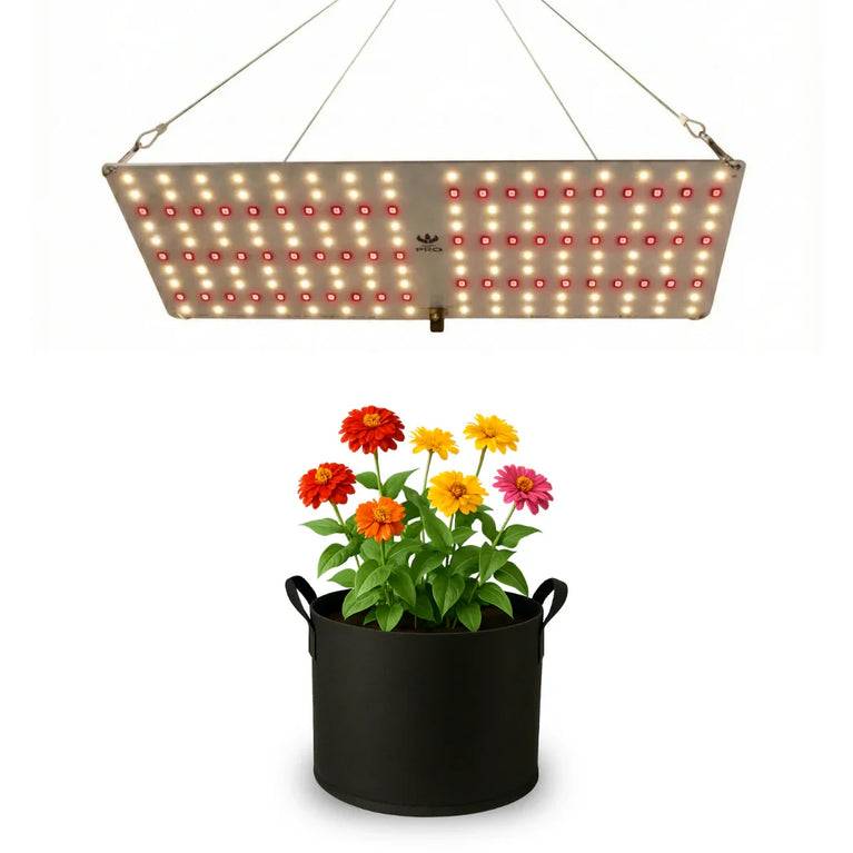 Painel de Led 65W Quantum Board PRO Chips Samsung LM301H EVO - Cultivo Indoor