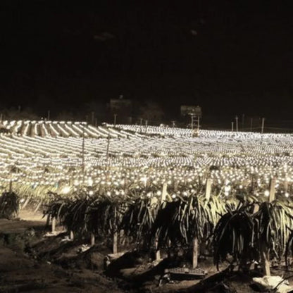 Painel de Led Master Plants Standard Pivô White Bivolt 68W