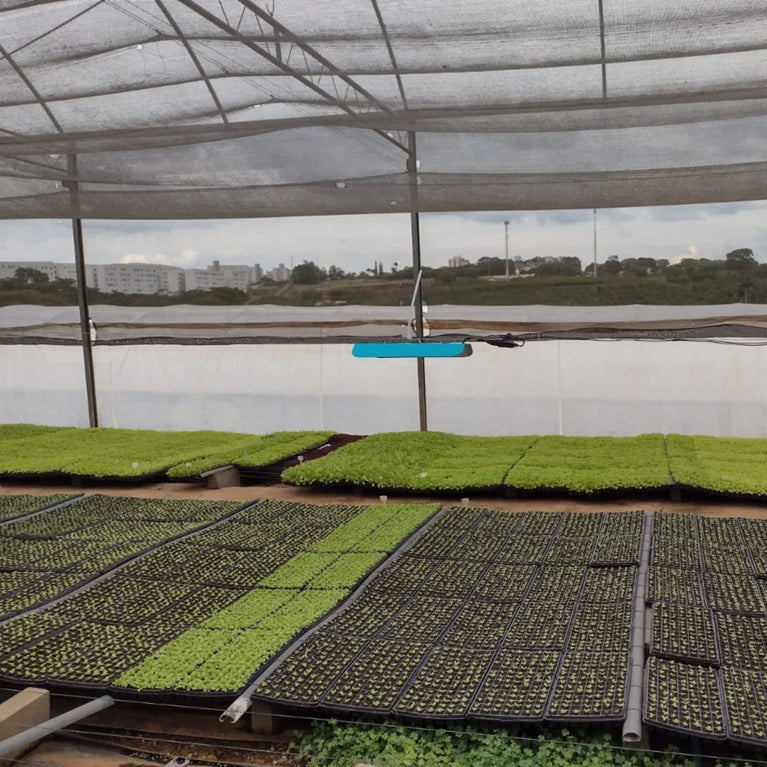 Painel de Led Master Plants Standard Pivô White Bivolt 112W