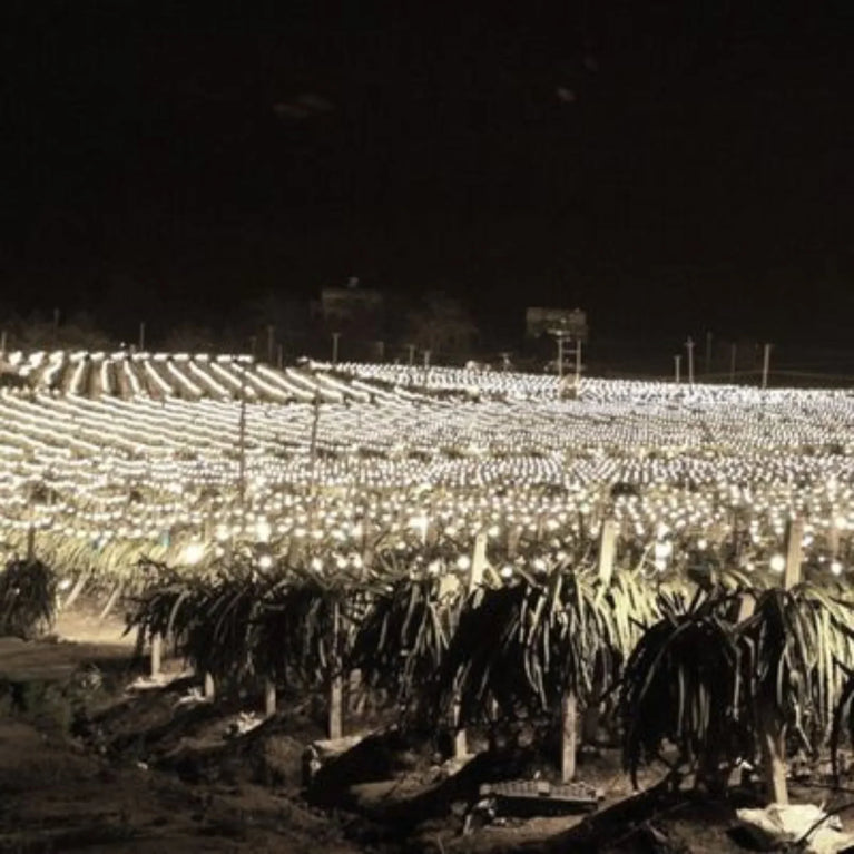 Painel de Led Master Plants Standard Pivô White Bivolt 112W