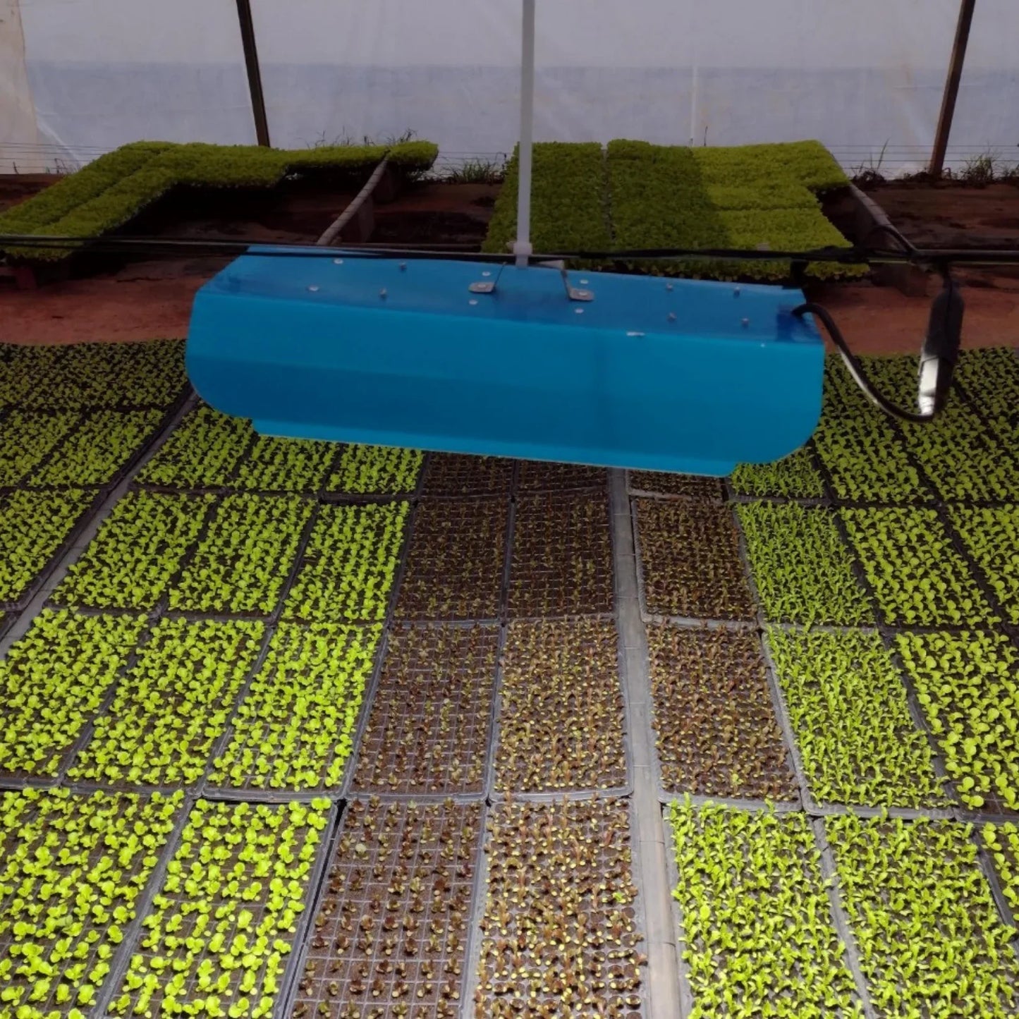 Painel de Led Master Plants Standard Pivô White Bivolt 175W