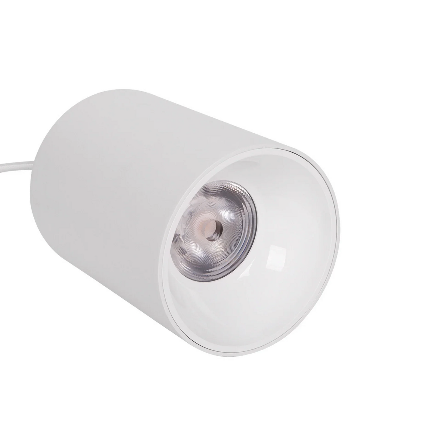 Luminária Led Paisagismo Master Plants Pendant 3000K 20° 20W
