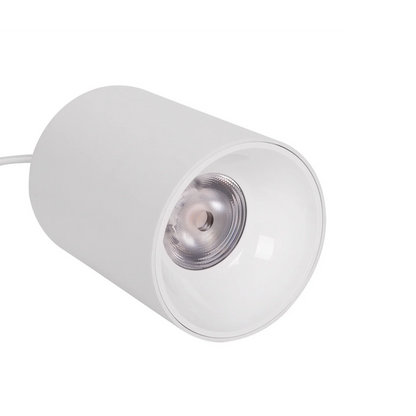 Luminária Led Paisagismo Master Plants Pendant 3000K 20° 20W