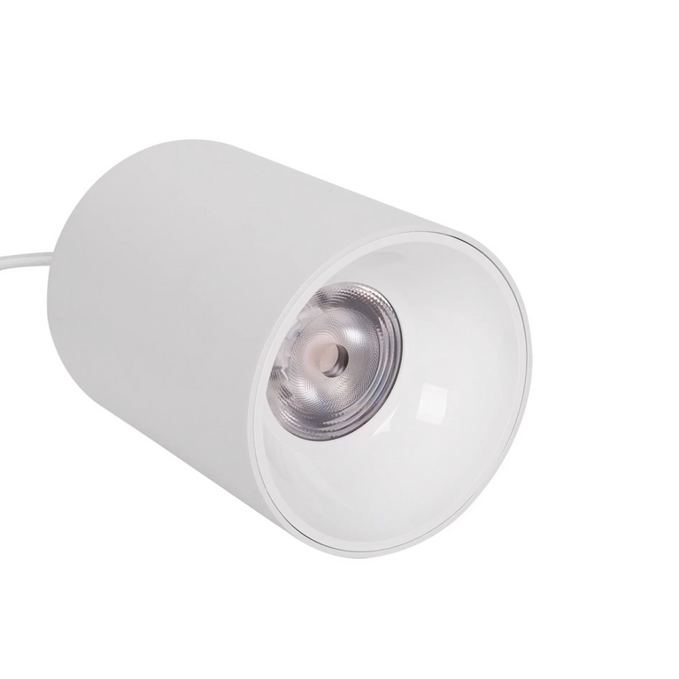 Luminária Led Paisagismo Master Plants Pendant 3000K 20° 20W