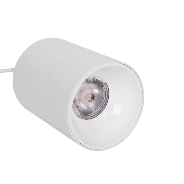 Luminária Led Paisagismo Master Plants Pendant 3000K 20° 40W