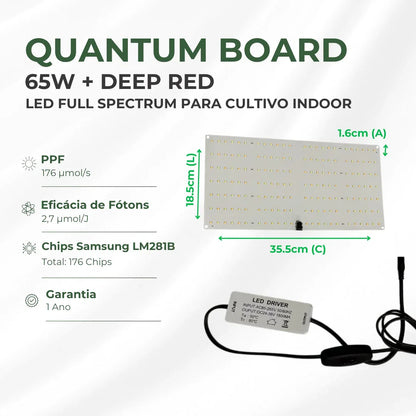Quantum Board 65w Samsung Lm281b Deep Red Cultivo Indoor