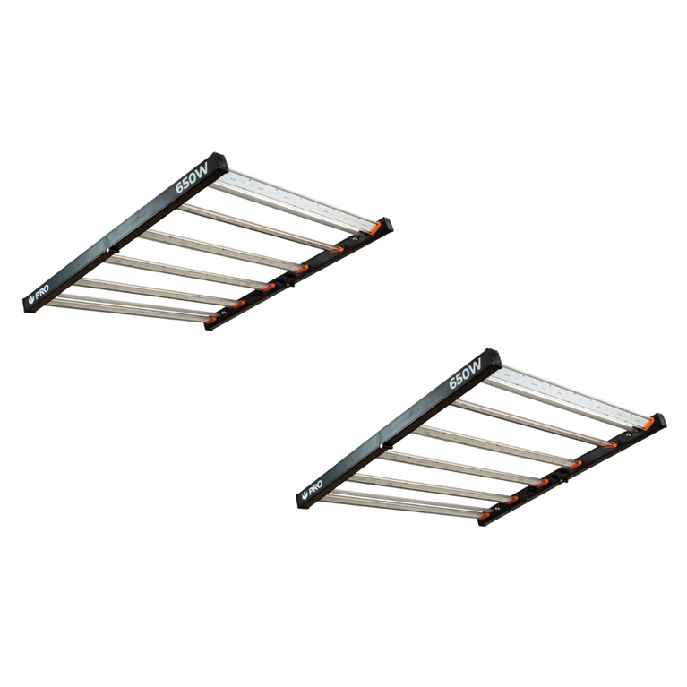 Kit Premium Cultivo Indoor – 2 LEDs 480W–650W Chips Samsung LM301H EVO | Master Plants