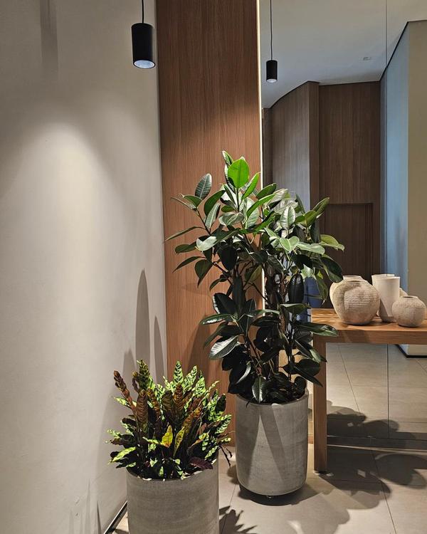Hall com pendente preto sobre vasos de cimento e folhagens