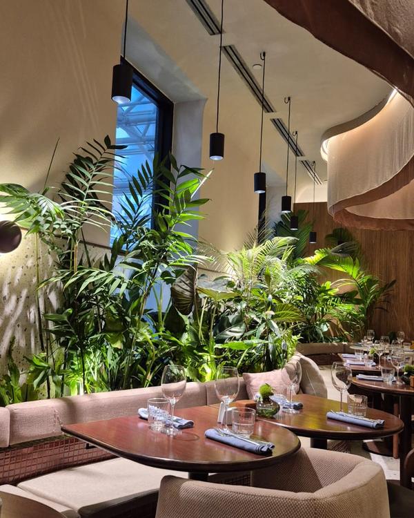Pendentes pretos sobre as plantas do Restaurante Macayá